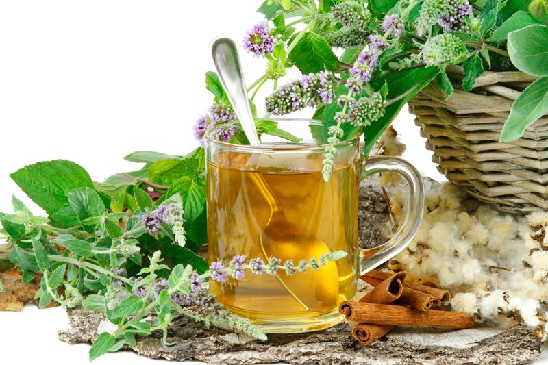 Sakarya Fitoterapi | Alternatif Klinik Sakarya